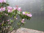 IMG_7957.JPG
